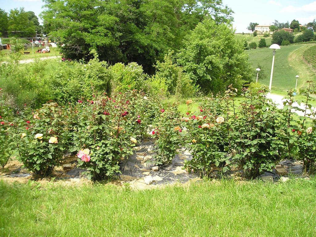 Agriturismo Gaggioli Borgo Delle Vigne Дзола-Предоза Экстерьер фото