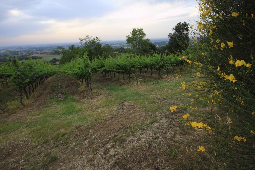 Agriturismo Gaggioli Borgo Delle Vigne Дзола-Предоза Экстерьер фото