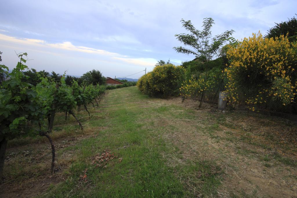 Agriturismo Gaggioli Borgo Delle Vigne Дзола-Предоза Экстерьер фото