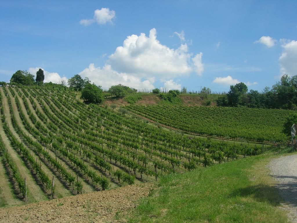 Agriturismo Gaggioli Borgo Delle Vigne Дзола-Предоза Экстерьер фото